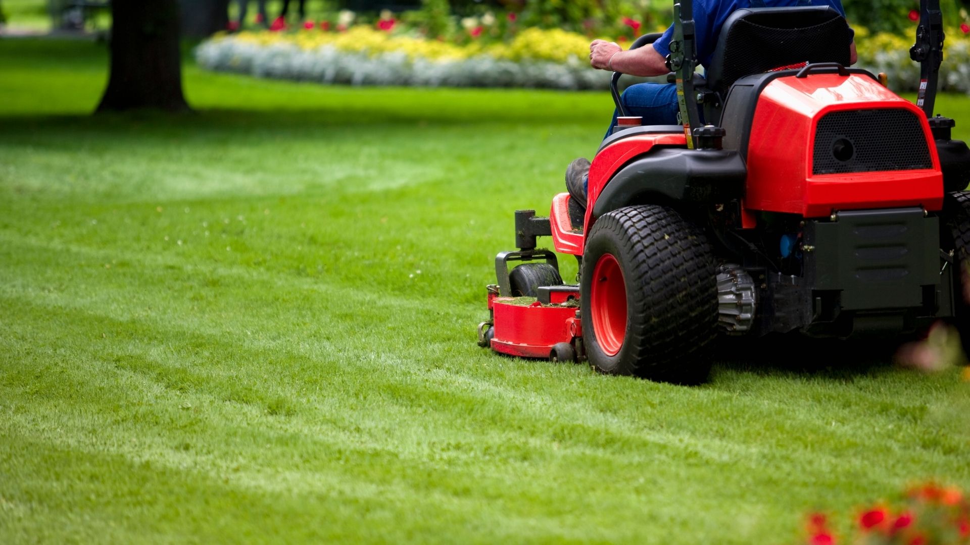 Ride-on lawn mowing in Casino NSW as part of Trevor’s lawn mowing and property maintenance services.